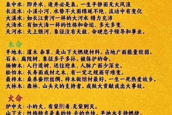 海中金命属相解析与命运特点分析