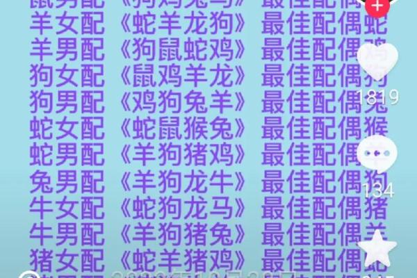 马男和鼠女是否天作之合