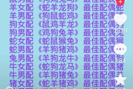 马男和鼠女是否天作之合