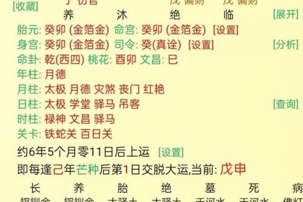 癸刚命的独特命理特点解析