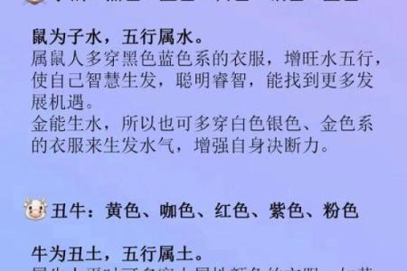 鼠和狗的生肖配对分析 是否合适的缘分关系