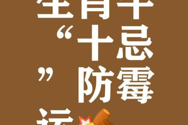 属牛人在本命年如何通过努力打破瓶颈