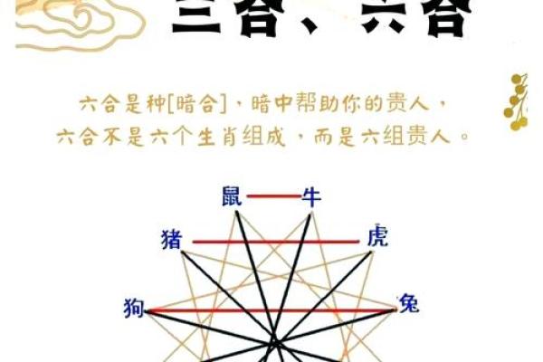从五行角度看鸡与蛇是否匹配