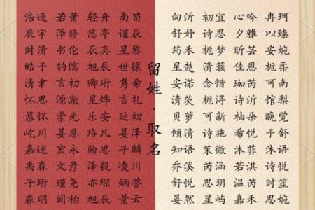 为狗年女宝宝取个响亮名字：温馨又有寓意的选择