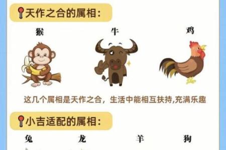 从五行角度看鸡与蛇是否匹配