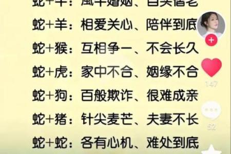 探讨属马男和属兔女的配对优势