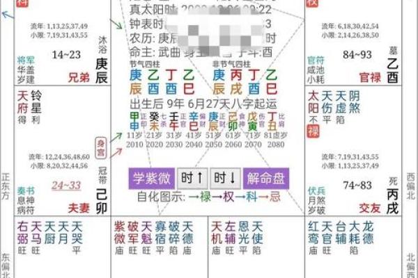地金虚命格的解析与命理特征探讨