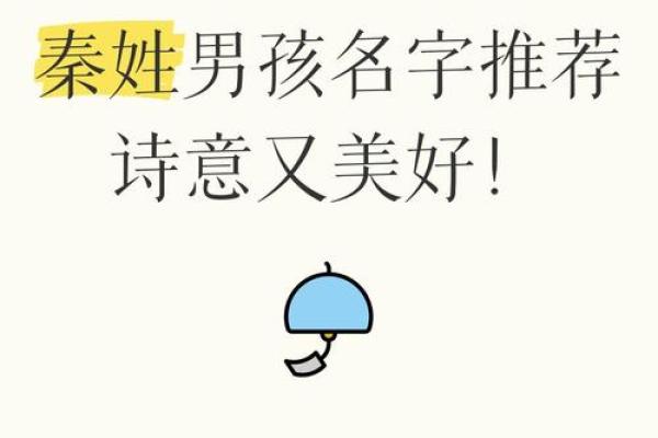 秦姓宝宝起名大全：个性与传统并存的名字推荐