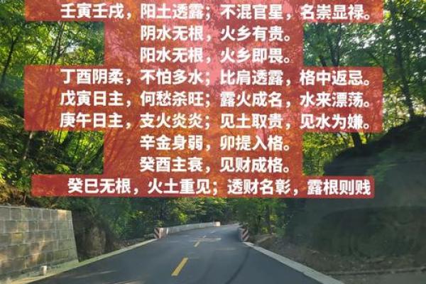 带金银命的含义及其在命理学中的解析