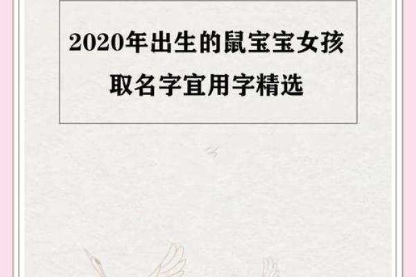 出生的鼠宝宝起名指南：为小鼠选个有寓意的名字
