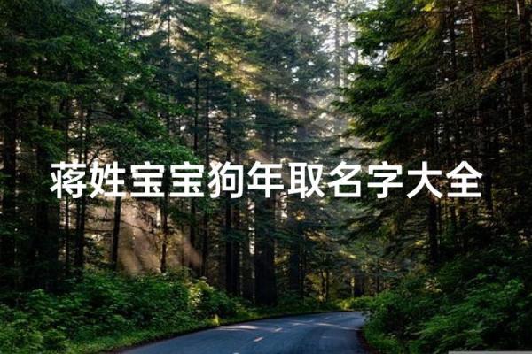 姓蒋的宝宝起名字：为孩子选一个有意义的名字建议