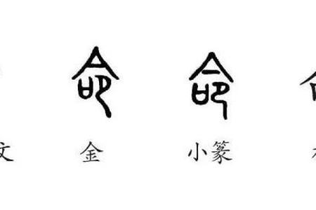 从张罗命看生活中的命运与选择