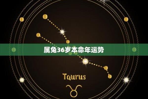 兔男本命年应如何应对感情冷淡