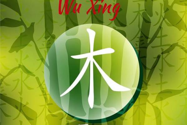 观音命与命理学中的五行关系