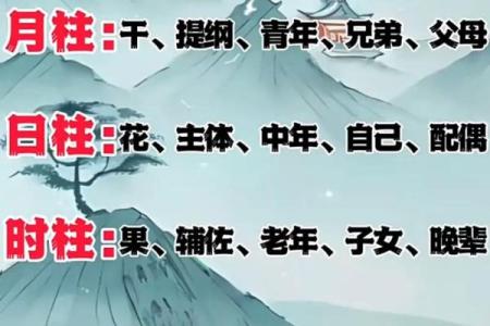 揭秘八卦算命与生辰八字测算的神奇奥秘，你知道多少？
