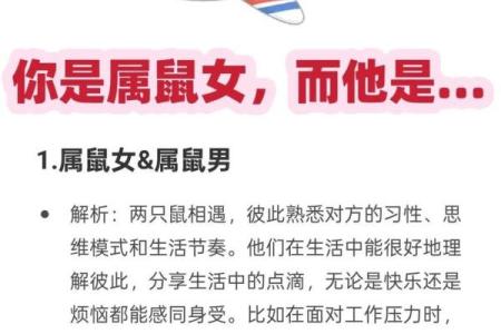 属兔与属鼠的配对运势解析
