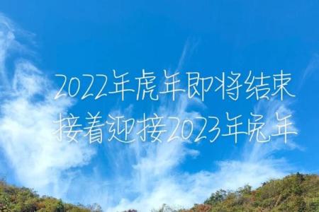 如何助力兔男在本命年事业腾飞