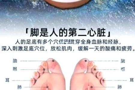 福气从脚开始：脚部特征与命运运势的奥秘