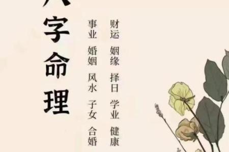 掌握生辰八字风水，轻松改善运势和生活环境！