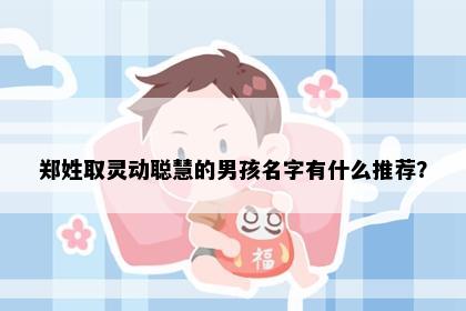 郑姓取灵动聪慧的男孩名字有什么推荐？