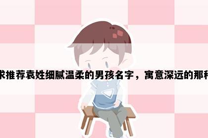 求推荐袁姓细腻温柔的男孩名字，寓意深远的那种