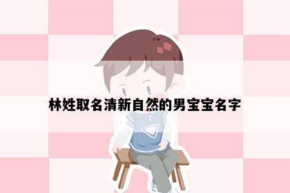 林姓取名清新自然的男宝宝名字