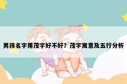 男孩名字用茂字好不好？茂字寓意及五行分析