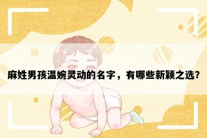 麻姓男孩温婉灵动的名字，有哪些新颖之选？