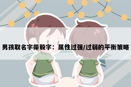 男孩取名字带毅字：属性过强/过弱的平衡策略