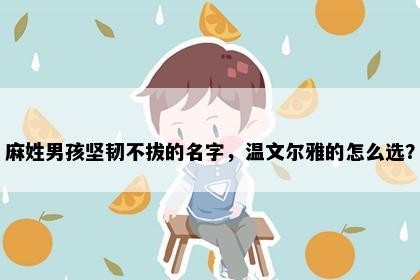 麻姓男孩坚韧不拔的名字，温文尔雅的怎么选？