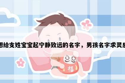 想给支姓宝宝起宁静致远的名字，男孩名字求灵感