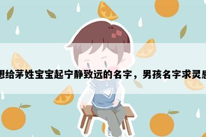 想给茅姓宝宝起宁静致远的名字，男孩名字求灵感
